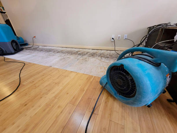 Reliable Basement Flood Cleanup contractor in Medford, WI by Hirex Water Damage