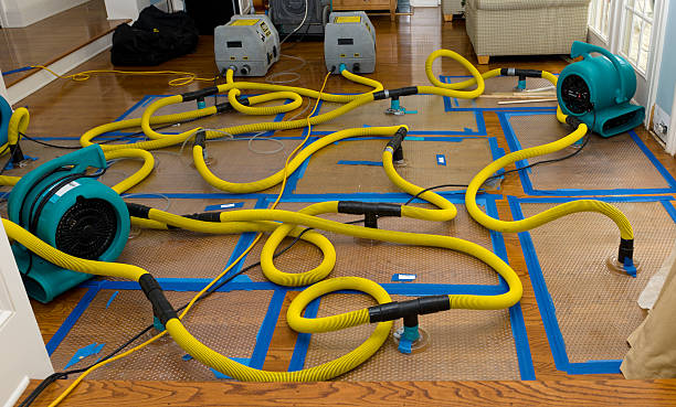 Professional Basement Flood Cleanup technician working in Medford, WI